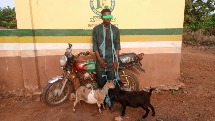 GOAT_1771835598.webp